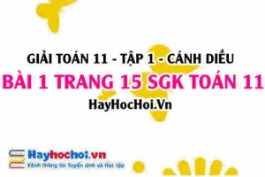 Giải bài 1 trang 15 Toán 11 tập 1 SGK Cánh Diều